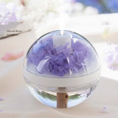 USB-kostutin, Everlasting Flower Mini Pienen makuuhuoneen pöytäkoneen sumukostutin, violetti hinta ja tiedot | Ilmankostuttimet | hobbyhall.fi