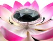 Lotus Light, aurinkoenergialla kelluva lampi koristelu Lotus Flower LED väriä vaihtava kukka yövalolamppu hinta ja tiedot | Puhelimen lisätarvikkeet | hobbyhall.fi