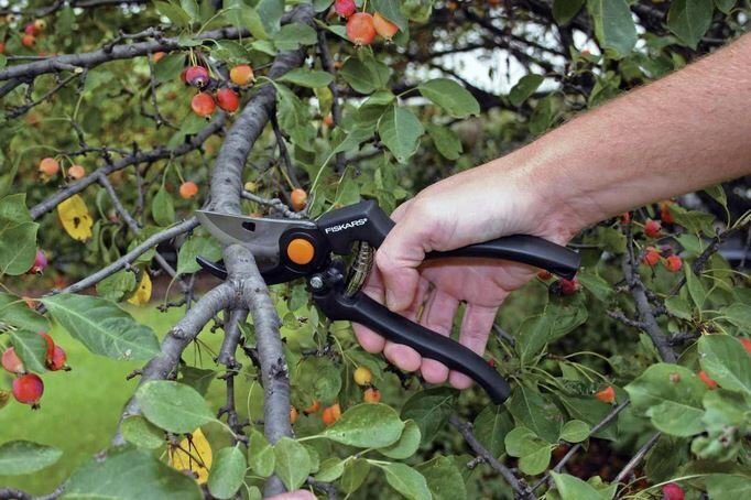 Fiskars PRO oksasakset P90 hinta ja tiedot | Puutarhatyökalut | hobbyhall.fi