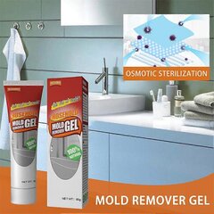 3Kpl Seinähomeenpoistoaine, Caulk Gel Pool Tile Gap Spot Home Home Remover Washi hinta ja tiedot | Höyrypesurit ja höyrymopit | hobbyhall.fi