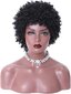 Afro Kinky Curly Peruukit mustille naisille, Afro Lyhyt Kihara Peruukki Bangs Brazilian hinta ja tiedot | Jalkineiden ja vaatteiden hoitotuotteet | hobbyhall.fi