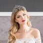 Vintage Baroque Crown Alloy Prom Quenn Crown morsiamen tiara hääpäähine (musta) hinta ja tiedot | Jalkineiden ja vaatteiden hoitotuotteet | hobbyhall.fi