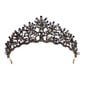 Vintage Baroque Crown Alloy Prom Quenn Crown morsiamen tiara hääpäähine (musta) hinta ja tiedot | Jalkineiden ja vaatteiden hoitotuotteet | hobbyhall.fi