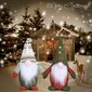 Christmas Gnomes 2 Pack, ruotsalainen Gnome-pehmoornamentti hinta ja tiedot | Joulukoristeet | hobbyhall.fi