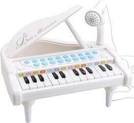 Toy Piano Piano Keyboard Lelu tytöille Lapsille Syntymäpäivälahjalelut hinta ja tiedot | Kosketinsoittimet | hobbyhall.fi