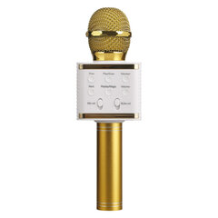 Karaoke mikrofoni Royal Song RS-Q007. hinta ja tiedot | Mikrofonit | hobbyhall.fi