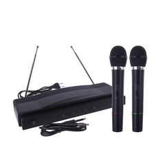 Karaokejärjestelmä 2x langaton mikrofoni + asema hinta ja tiedot | Mikrofonit | hobbyhall.fi