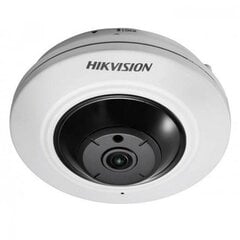 Hikvision TVKIPDS2CD2955FWD-IS hinta ja tiedot | Valvontakamerat | hobbyhall.fi