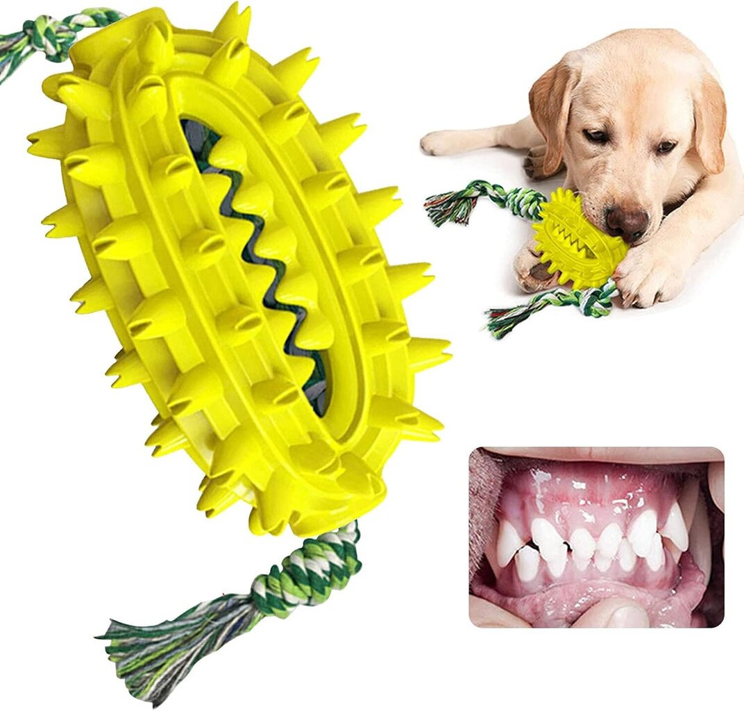 Molar Chew Dog Lelu - Monitoiminen - Purulelu - Interaktiivinen Molar Lelu - Purulelu hinta ja tiedot | Lintulaudat ja lintuhäkit | hobbyhall.fi