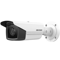 IP-kamera Hikvision 311313637 hinta ja tiedot | Hikvision Kodin remontointi | hobbyhall.fi