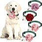 kpl Pet Rose Cat Kaulapanta Koiran kukka Nylon Säädettävä Kaulakoru Bell and Pearl Pet hinta ja tiedot | Lintulaudat ja lintuhäkit | hobbyhall.fi