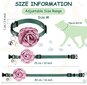 kpl Pet Rose Cat Kaulapanta Koiran kukka Nylon Säädettävä Kaulakoru Bell and Pearl Pet hinta ja tiedot | Lintulaudat ja lintuhäkit | hobbyhall.fi