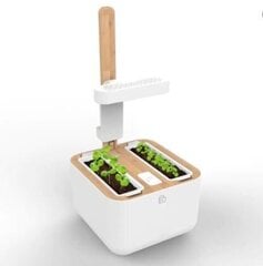 VÉRITABLE BOTANEO EYLO GARDEN hinta ja tiedot | Sisäpuutarhat ja kasvilamput | hobbyhall.fi