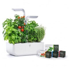 Véritable® SMART Indoor Garden älykäs kukkaruukku , valkoinen : VPOT-SAWAS-A-2 hinta ja tiedot | Sisäpuutarhat ja kasvilamput | hobbyhall.fi