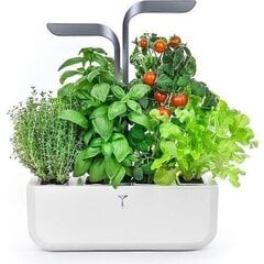 Véritable® CONNECT Indoor Garden , älykäs kukkaruukku hinta ja tiedot | Sisäpuutarhat ja kasvilamput | hobbyhall.fi