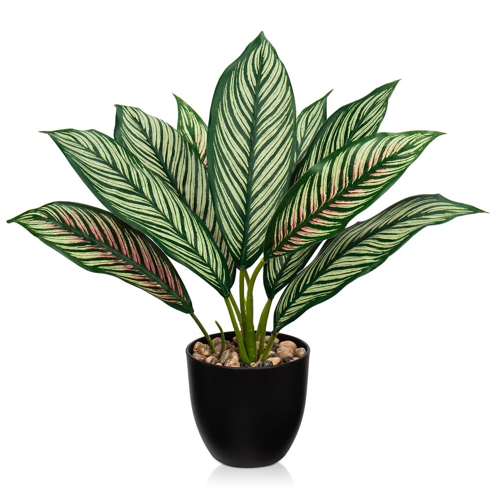 Briful keinotekoinen kasvi Lifelike Calathea Bushy koristekasvi hinta ja tiedot | Keinotekoiset kukat | hobbyhall.fi