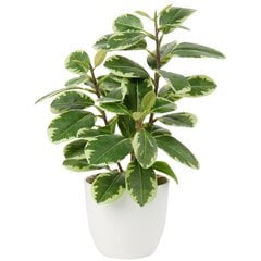 Kirkas keinotekoinen sisäkasvi Camellia hinta ja tiedot | Keinotekoiset kukat | hobbyhall.fi