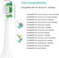 Philips Sonicare SPSH sähköhammasharjan päät, 12 kpl. Analoginen hinta ja tiedot | Sähköhammasharjan vaihtoharjat | hobbyhall.fi