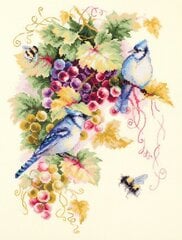 Ristipistopakkaukset Magic Needle "Blue Jay and Grapes" 130-022 hinta ja tiedot | Kirjontatarvikkeet | hobbyhall.fi