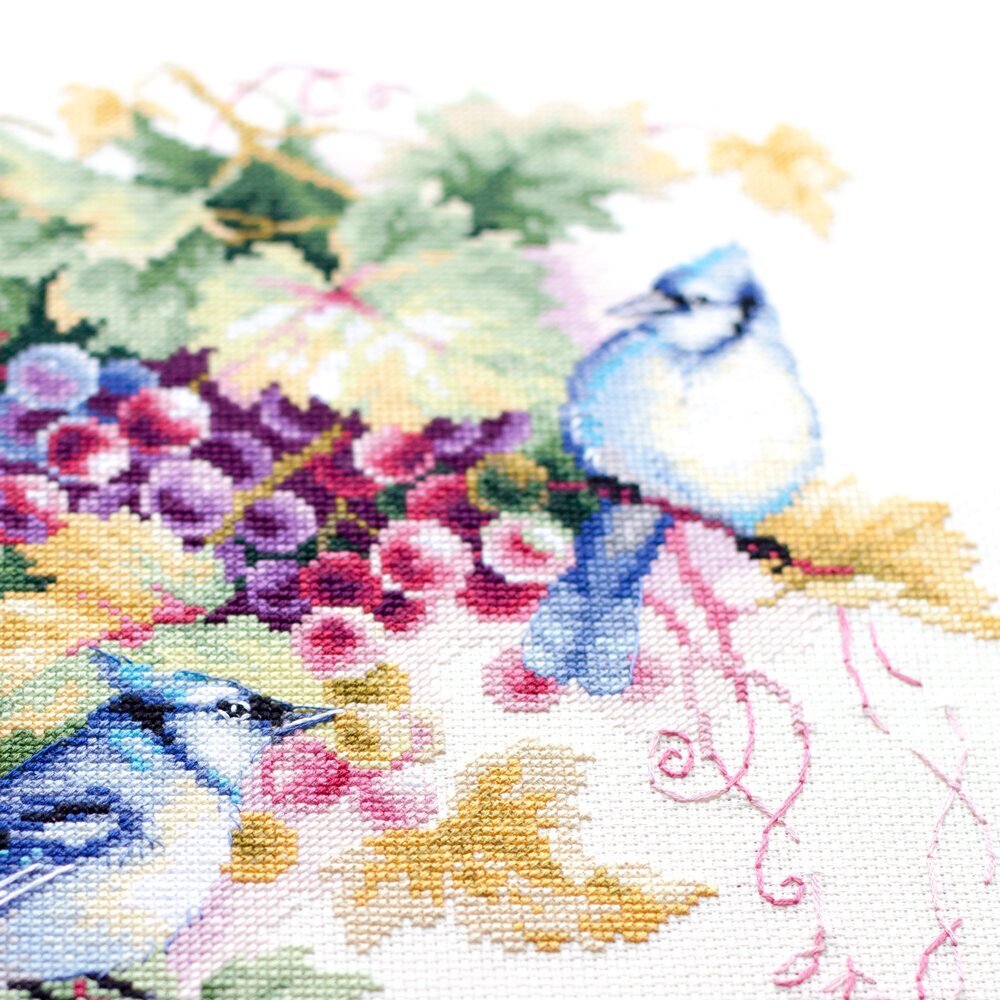 Ristipistopakkaukset Magic Needle "Blue Jay and Grapes" 130-022 hinta ja tiedot | Kirjontatarvikkeet | hobbyhall.fi