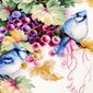 Ristipistopakkaukset Magic Needle "Blue Jay and Grapes" 130-022 hinta ja tiedot | Kirjontatarvikkeet | hobbyhall.fi