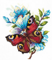 Ristipistopakkaukset Magic Needle "Peacock Butterfly" 42-09 hinta ja tiedot | Kirjontatarvikkeet | hobbyhall.fi