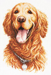 Ristipistopakkaukset Magic Needle "Golden Retriever" 59-24 hinta ja tiedot | Kirjontatarvikkeet | hobbyhall.fi