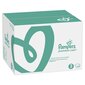 Vaipat PAMPERS Premium Monthly Pack koko 3, 6-10 kg, 204 kpl hinta ja tiedot | Vaipat | hobbyhall.fi