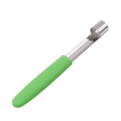 Apple Corer Corer Corer Ruostumaton teräs Vihreä kromipinnoitettu hinta ja tiedot | Yleiskoneet | hobbyhall.fi