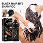 100 ml Natural Herbal Instant Black Hair Dye Shampoo White H:lle hinta ja tiedot | Shampoot | hobbyhall.fi