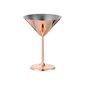 Ruostumaton teräs Copper Rose Gold Martini Cocktail lasit, 460ml hinta ja tiedot | Lasit, mukit ja kannut | hobbyhall.fi