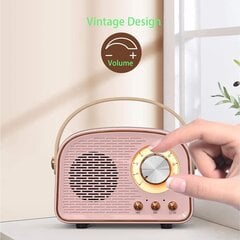 Mini Radio Bluetooth-kaiutin, kannettava pieni kaiutin hinta ja tiedot | Kaiuttimet ja soundbarit | hobbyhall.fi