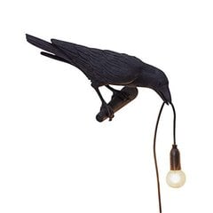 Kahdeksan tyyliä kaksisävyisiä Crow Creative Lights -valaisimia Crow-seinävalaisimia hinta ja tiedot | Seinävalaisimet | hobbyhall.fi