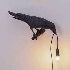 Kahdeksan tyyliä kaksisävyisiä Crow Creative Lights -valaisimia Crow-seinävalaisimia hinta ja tiedot | Seinävalaisimet | hobbyhall.fi