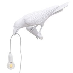 Kahdeksan tyyliä kaksisävyisiä Crow Creative Lights Crow seinävalaisimia hinta ja tiedot | Seinävalaisimet | hobbyhall.fi