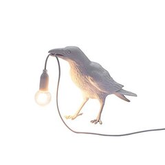 Kahdeksan tyyliä kaksisävyisiä Crow Creative Lights Crow seinävalaisimia hinta ja tiedot | Seinävalaisimet | hobbyhall.fi