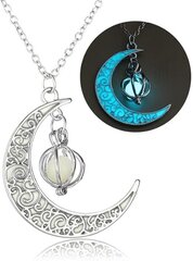 Sterling hopea koruja Crescent Moon ja Star Riipus kaulakoru hinta ja tiedot | Kaulakorut | hobbyhall.fi