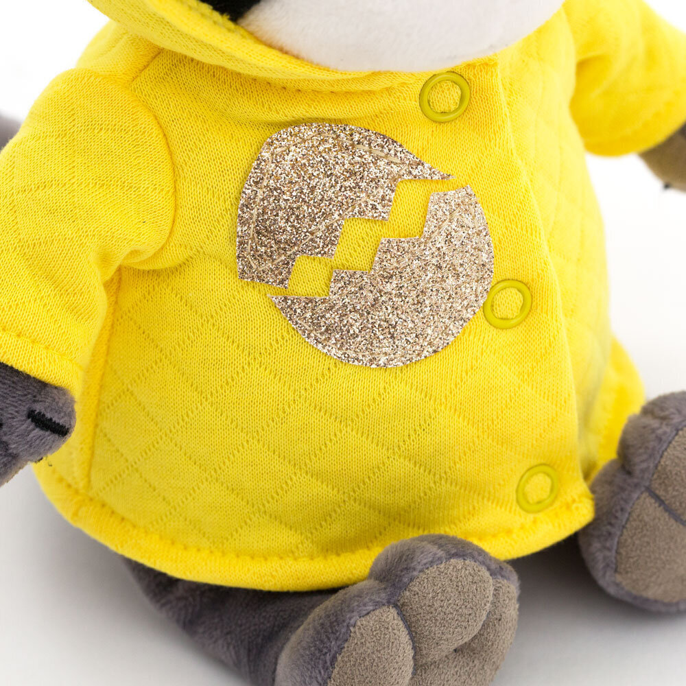 Daisy the Raccoon: Chick -lelu hinta ja tiedot | Vauvan lelut | hobbyhall.fi