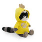 Daisy the Raccoon: Chick hinta ja tiedot | Vauvan lelut | hobbyhall.fi