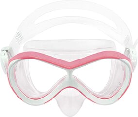 Swim Goggles Snorkkelimaski lapsille 6-14 vuotiaille Sukellussukellukselle hinta ja tiedot | Uimalasit | hobbyhall.fi