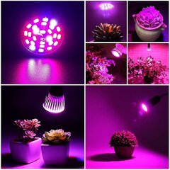 [4 kpl] 10 W E27 LED Grow Light, täyden spektrin kasvuvalo hinta ja tiedot | Sisäpuutarhat ja kasvilamput | hobbyhall.fi