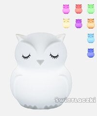 MesMed lasten valaisin Owl MM014 hinta ja tiedot | Lastenhuoneen valaisimet | hobbyhall.fi