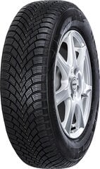 Nexen Winguard Snow G 3 (WH21) 195/65R15 91 H hinta ja tiedot | Nexen Autotuotteet | hobbyhall.fi