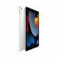 Tabletti Apple MK4H3TY/A Silver 256 Gt 3 Gt RAM-muistia hinta ja tiedot | Tabletit | hobbyhall.fi