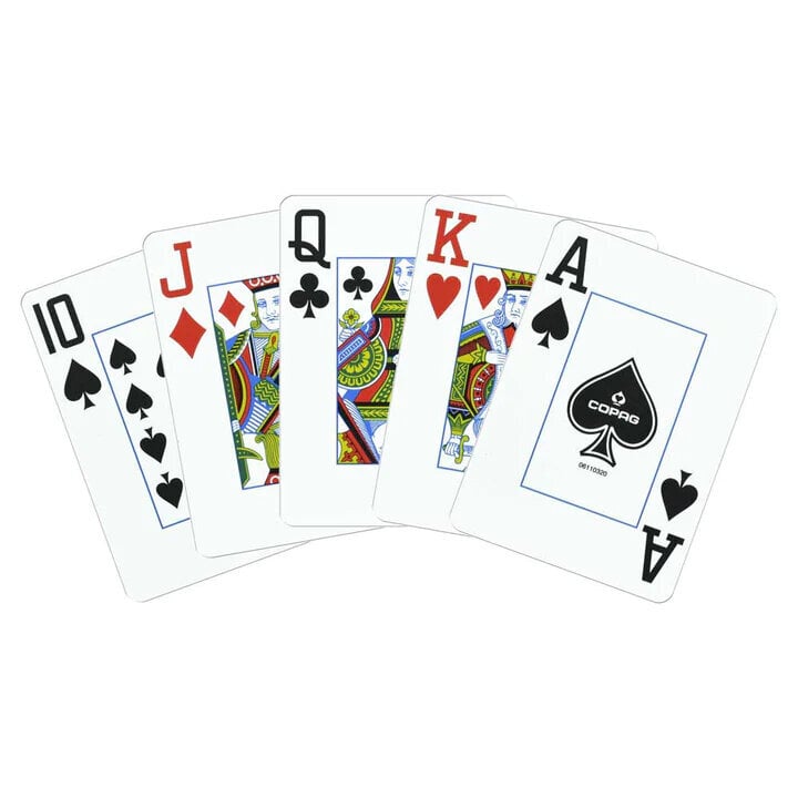 Copag 1546 Elite Poker Size - Jumbo Index Pelikortit Double Deck (kulta ja musta) hinta ja tiedot | Lautapelit ja älypelit | hobbyhall.fi