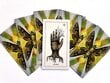 Schiffer Publishing The Awakening Tarot: Elemental Approach Tarot -kortit hinta ja tiedot | Esoteria | hobbyhall.fi