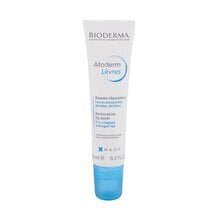 BIODERMA Atoderm Levres huulibalsami 15 ml hinta ja tiedot | Bioderma Hajuvedet ja kosmetiikka | hobbyhall.fi