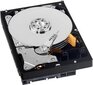 Western Digital WD AV-GP 3.5''500GB SATA/600, 64MB cache (WD5000AURX) hinta ja tiedot | Kovalevyt | hobbyhall.fi