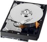 Western Digital WD AV-GP 3.5''500GB SATA/600, 64MB cache (WD5000AURX) hinta ja tiedot | Kovalevyt | hobbyhall.fi