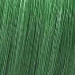 Hiusväri Wella Color Fresh Create Neverseen Green, 60 ml hinta ja tiedot | Wella Professionals Hajuvedet ja kosmetiikka | hobbyhall.fi